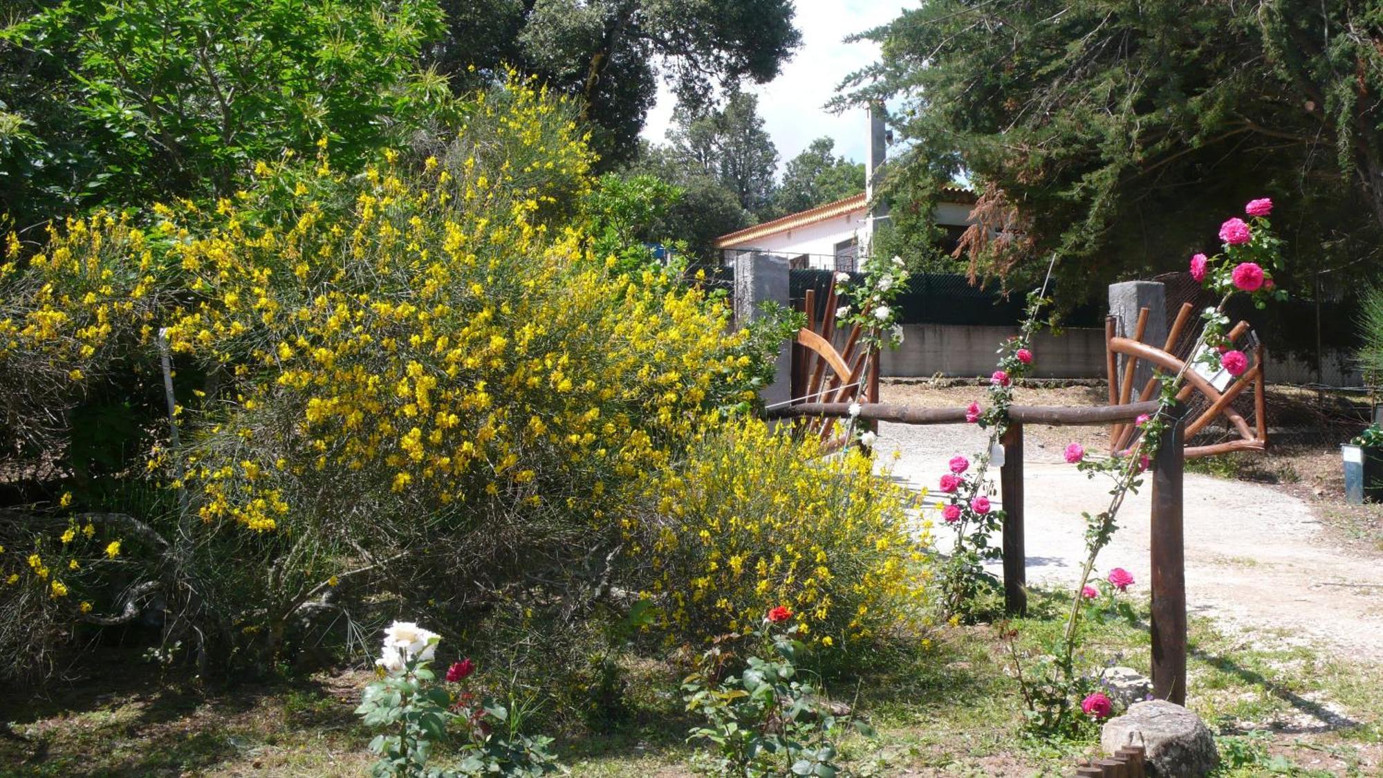 Casa Solotti Guest House Nuoro  Exterior foto